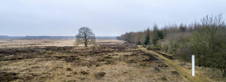 Naturoplevelser med historiske vingesus ved Ribe