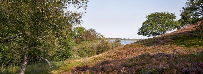 Forening om naturens tilstand: Fra dårlig til endnu værre