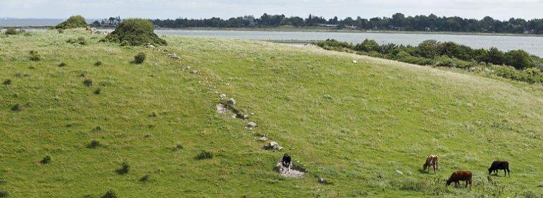 Syv kommuner får støtte til tjek af gamle diger - og det går langsomt