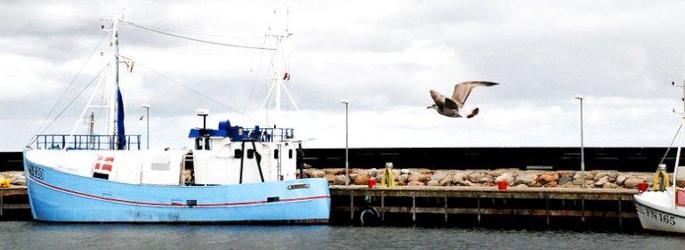 Læsø fik ingen løsning med hjem, men lån til at holde øen flydende