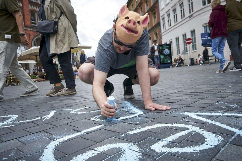 Veganerpartiet er klar til folketingsvalg