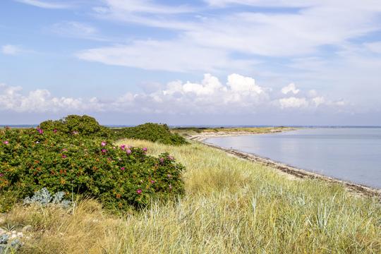 Endelave blev Årets Ø