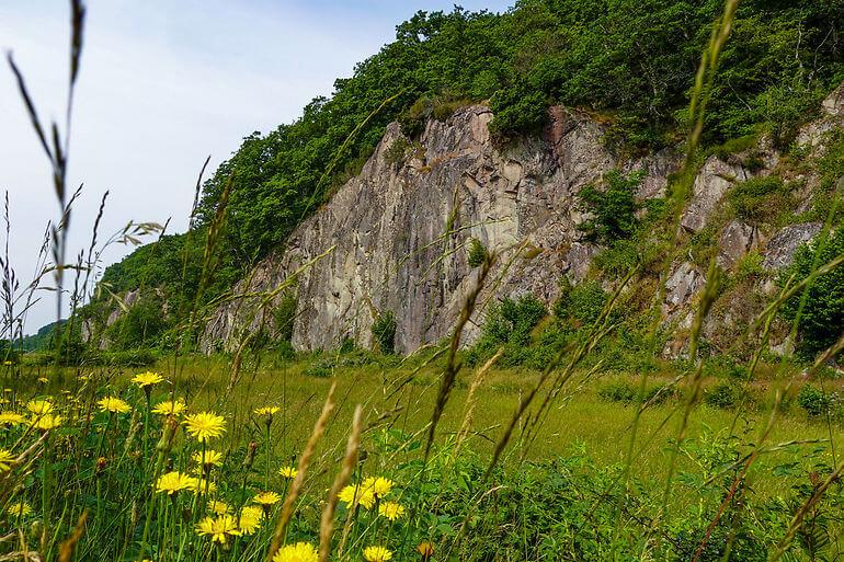 Kæmpe naturprojekt i Ekkodalen genskaber fordums natur 
