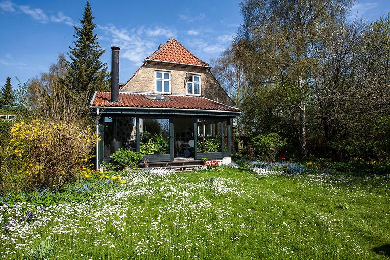 Vild med vilje virker og giver fremgang til bynatur 