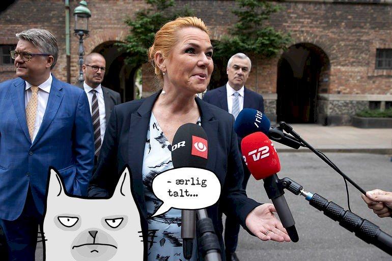 Retspleje i offentligheden