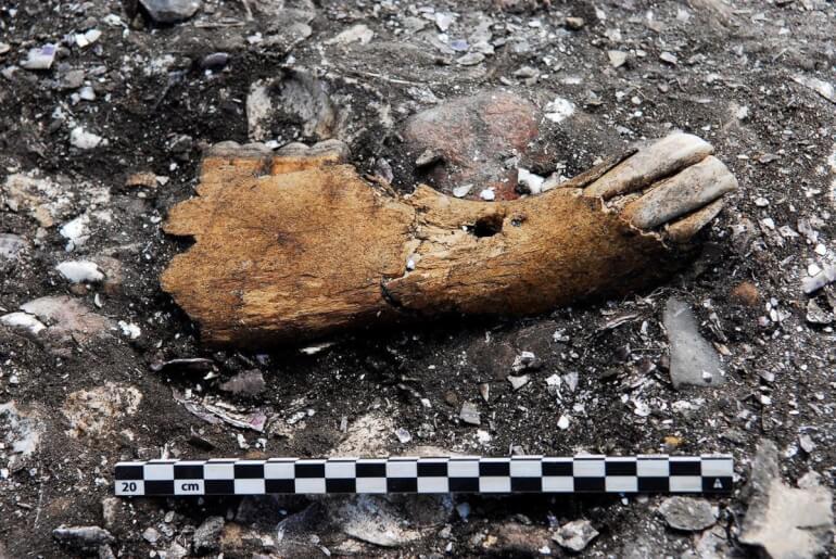 Top 10: Se årets mest spektakulære arkæologiske fund