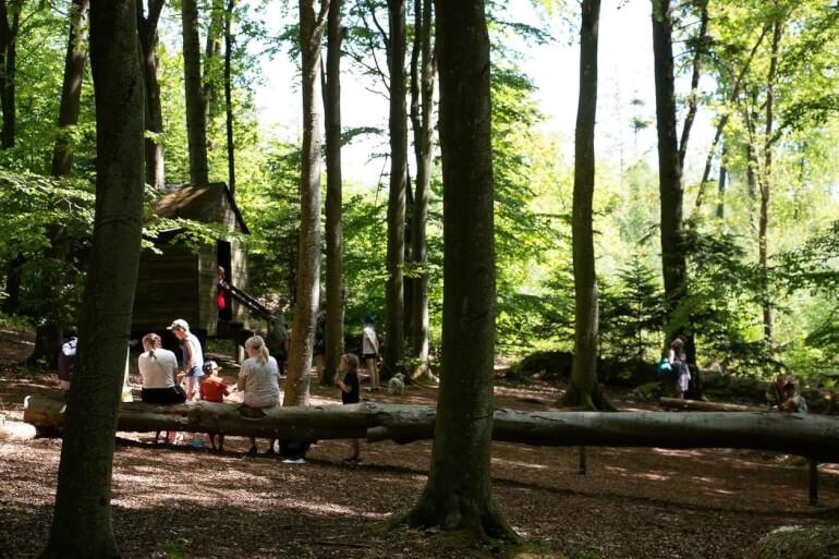 Skovkunstområde får byggeri til 10 mio. kr.