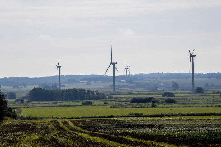 Tønder: Nyt stort naturområde under vand skal hjælpe klimaet