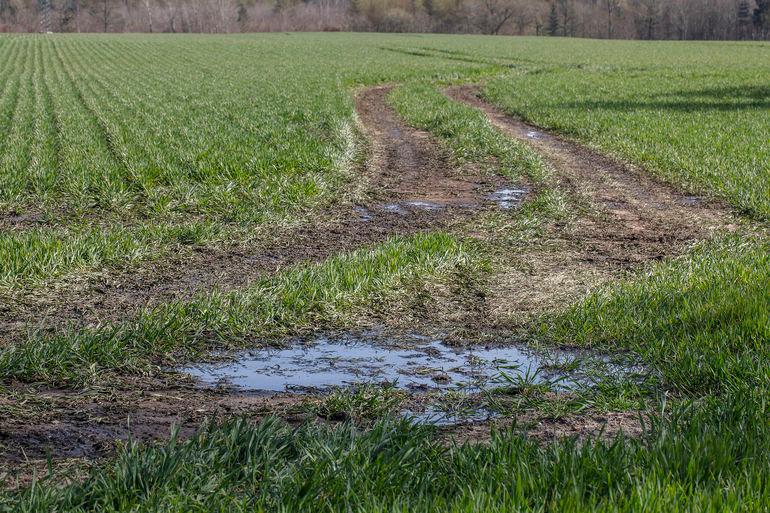 To landkommuner og landbrug samarbejder om klimatiltag