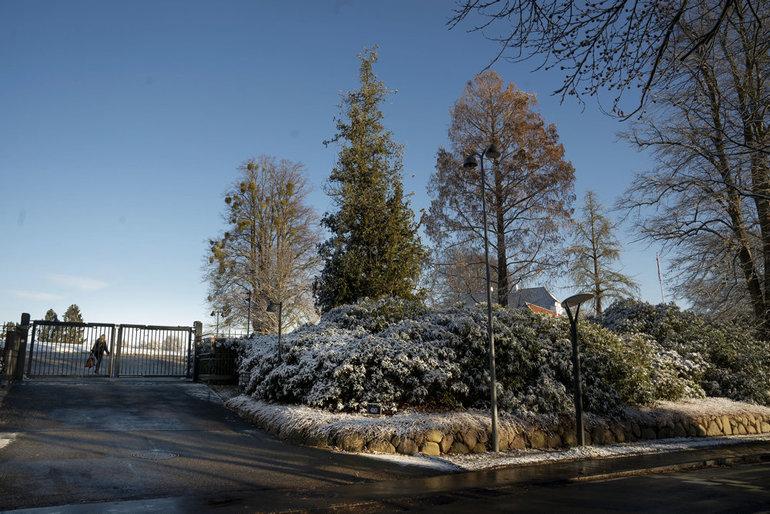 Fire partier er til fælles forhandlinger om ny regering lørdag