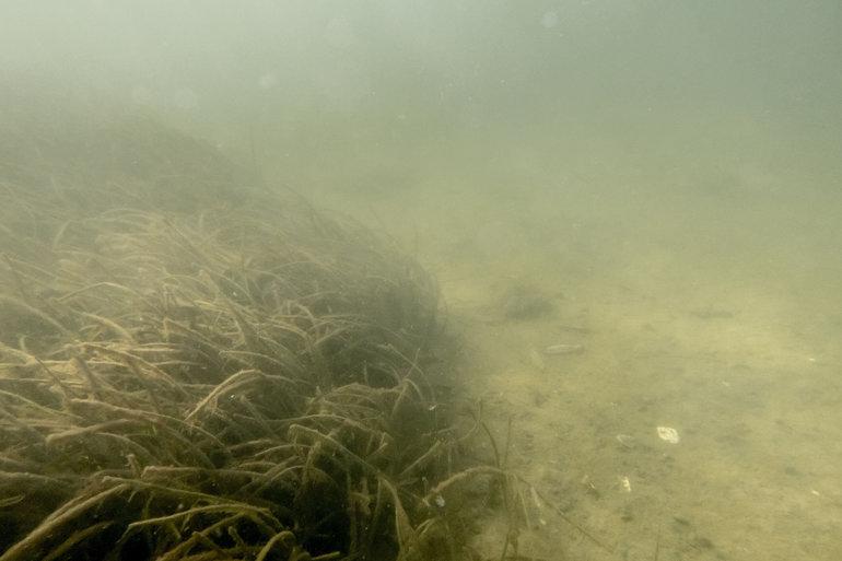 Iltsvind sætter spot på omstridt bundtrawl - fiskere svarer igen
