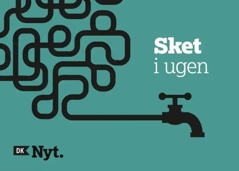 Miljøtilsyn under kritik, upassende adfærd og et ældreudspil i stumper