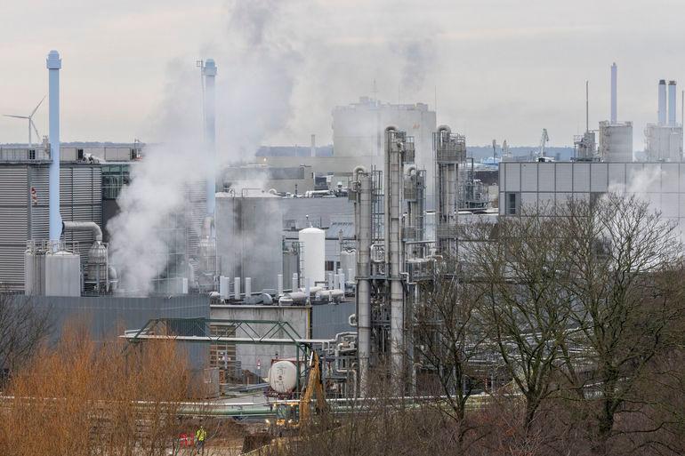 Ekspert: Åbenhed skal sikre, at en virksomhed ikke bare tromler kommunen