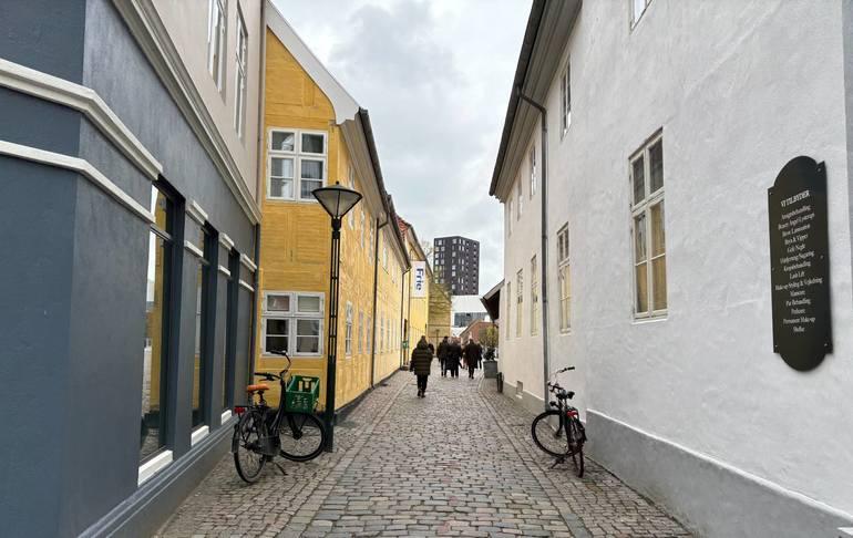 Fornyelse af Odenses bymidte skal ske med kunst og natur i fokus