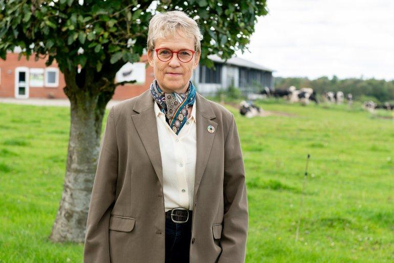 Kampvalg om at afløse Ringkøbing-Skjerns borgmester: Topfigur fra landbruget stiller op