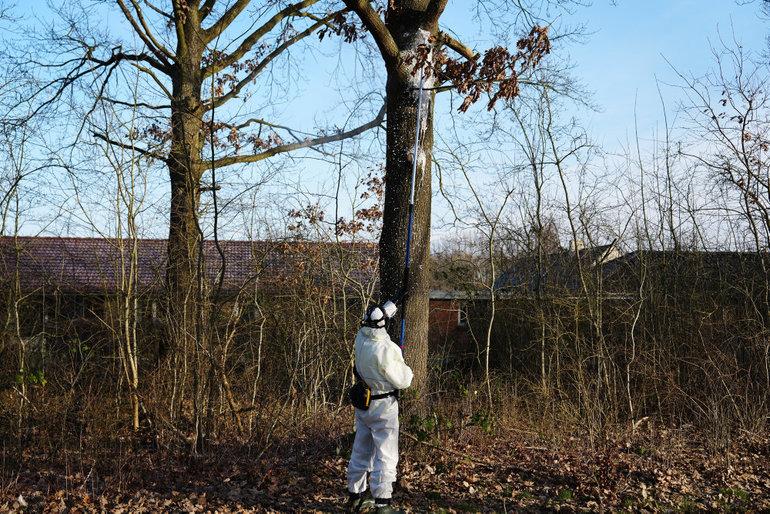 Mænd med masker og heldragter sat ind i kampen mod giftig larve
