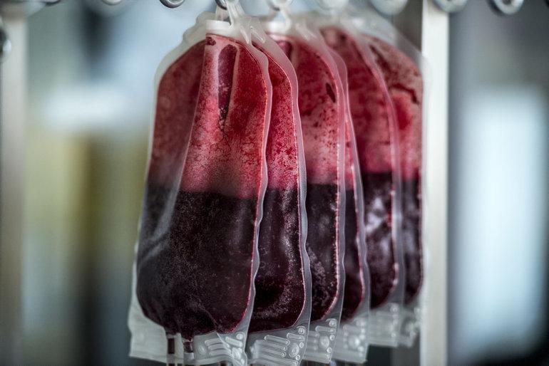 33.000 bloddonorer mangler - kampagne skal få flere unge til at melde sig