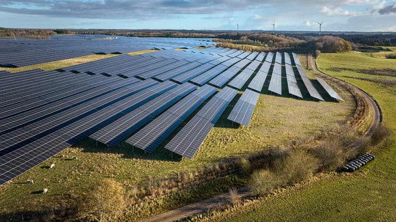 Morten Rasmussen/Biofoto/Ritzau Scanpix