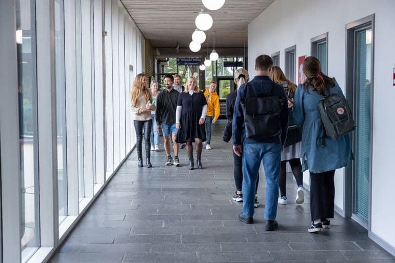 VIA University College