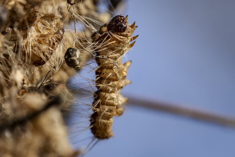 Mads Claus Rasmussen/Ritzau Scanpix