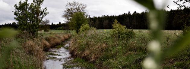 Landbrugspakke: Vandråd skal virkelighedstjekke små vandløb