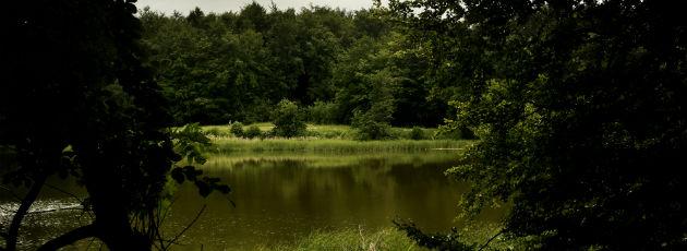 Danmark har mindre beskyttet natur end resten af EU