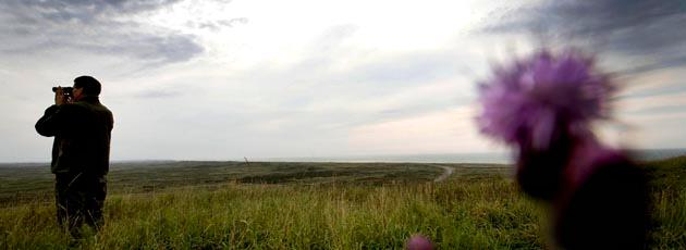 Naturpark Amager får 55 mio. kr.