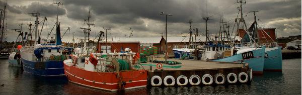 Højesteret: Gilleleje-fiskere fiskede ulovligt i Kattegat