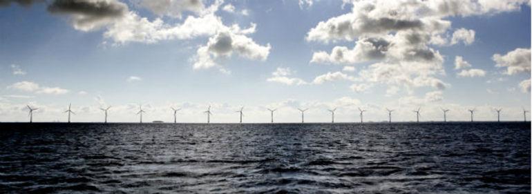 Uro om vilkår får Hofor til at droppe havmølleprojekt