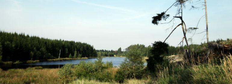 Ny nationalpark i Nordsjælland ser dagens lys