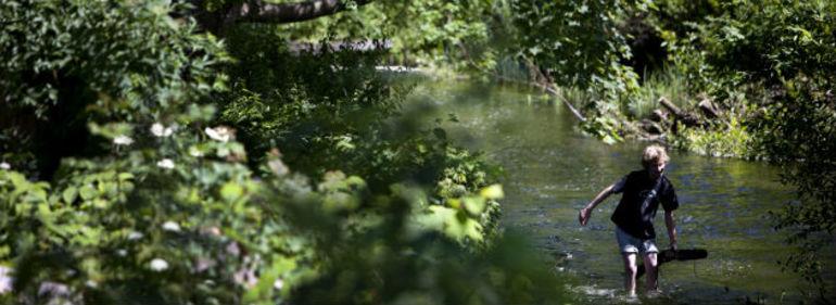 Flere vil gerne have en godkendt naturpark
