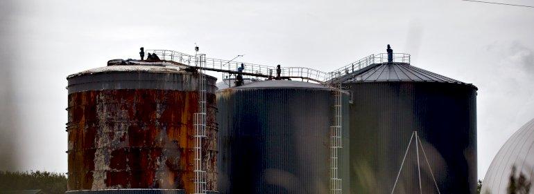 Biogas er fem gange dyrere end kystnære vindmøller