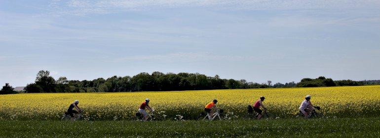 Oprør fra Udkanten går i alliance med Danmark på Vippen