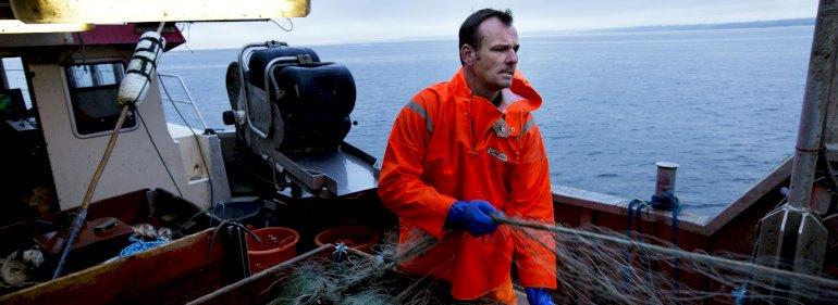 14 kommuner i fælles brev: Stop råstofudvinding i Øresund