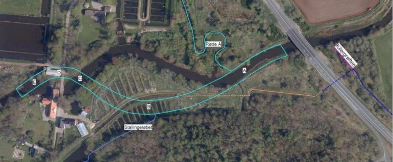 Fiskene får med nyt stryg bedre adgang til 200 kilometer Kongeå