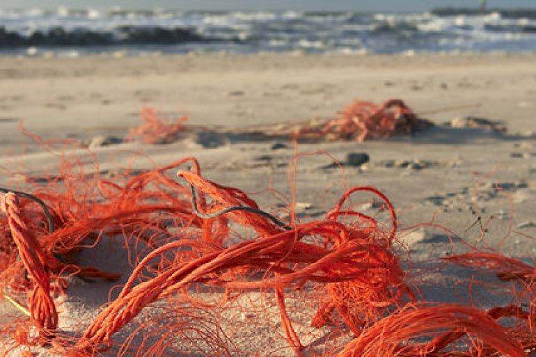 EUs regionsudvalg savner fokus på plast fra åer og søer