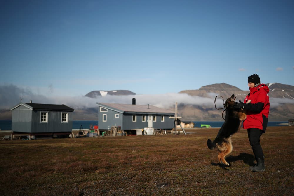 Foto &copy;Hannah Mckay/Reuters