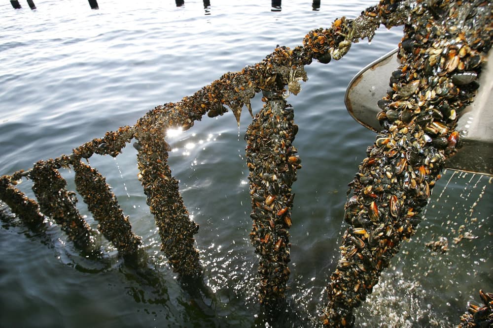 Foto &copy;Henning Bagger/Ritzau Scanpix