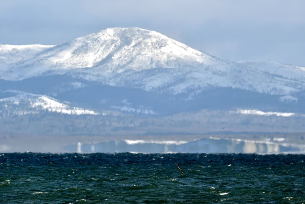 Foto &copy;Yoshiaki Sakamoto/Ritzau Scanpix