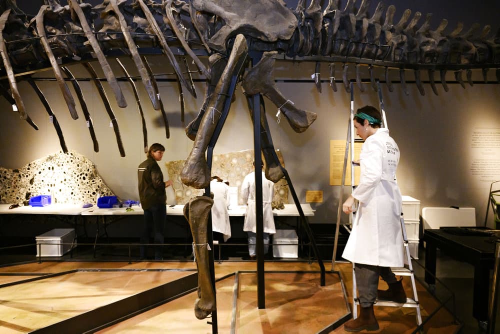 Foto &copy;Philip Davali/Ritzau Scanpix