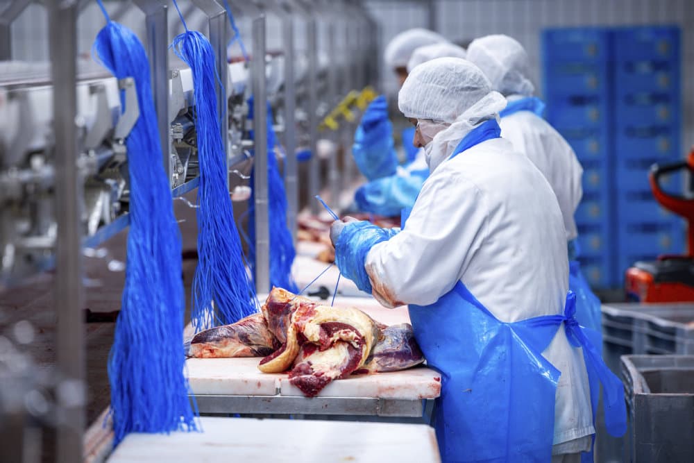 Foto &copy;Jens Bttner/Ritzau Scanpix