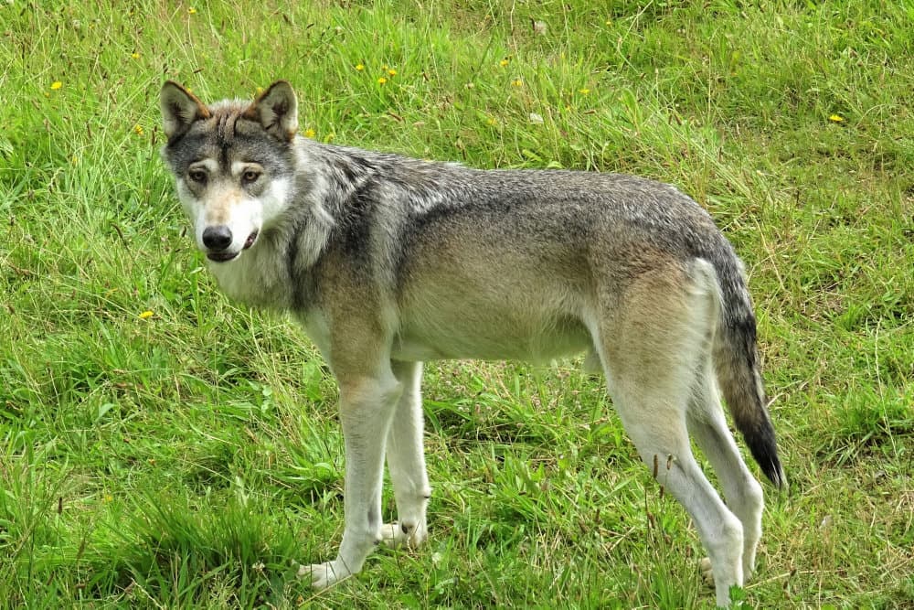 Foto &copy;Søren Olsen/Ritzau Scanpix