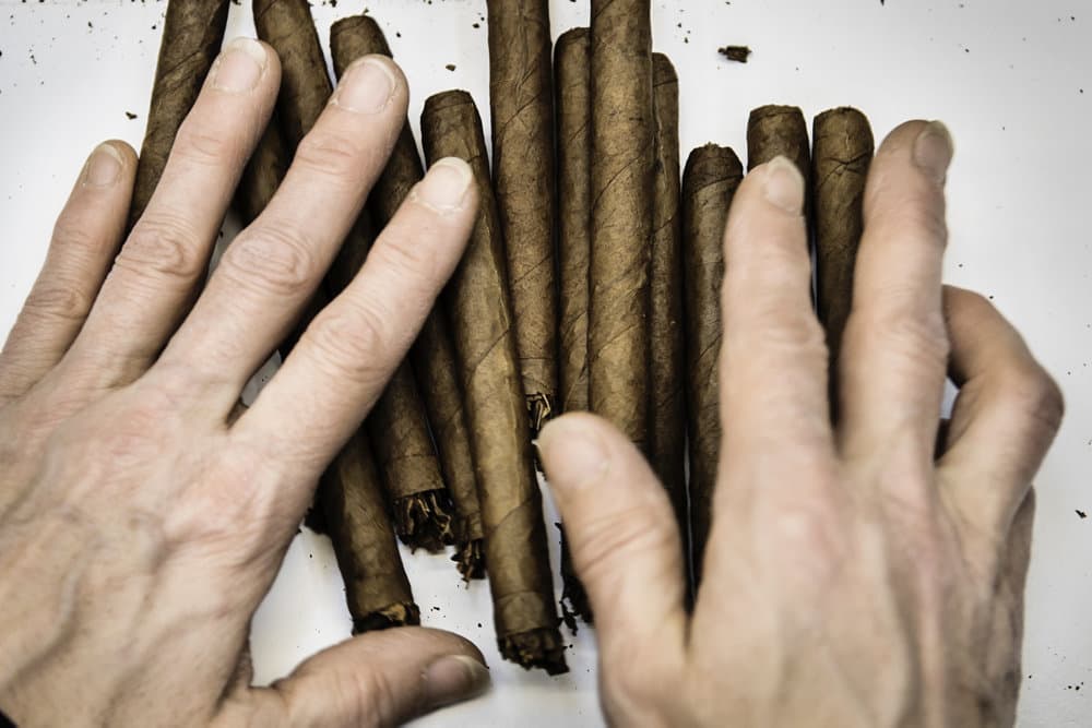 Foto &copy;Thomas Lekfeldt/Ritzau Scanpix