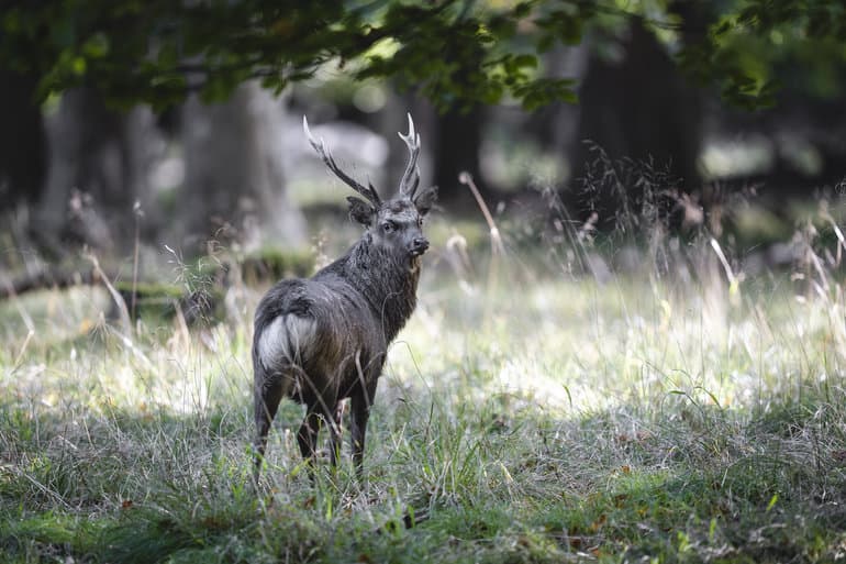 Thomas Traasdahl/Ritzau Scanpix