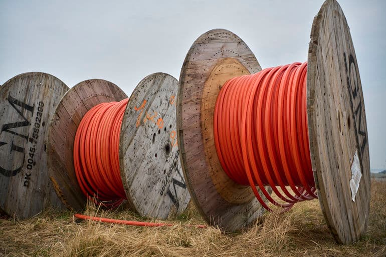 Morten Rasmussen/Biofoto/Ritzau Scanpix
