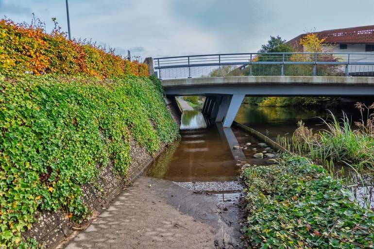 Frank Bach/Shutterstuck/Danmarks Miljøportal